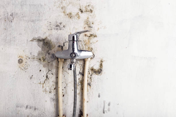 Best Emergency Mold Removal  in Durand, WI