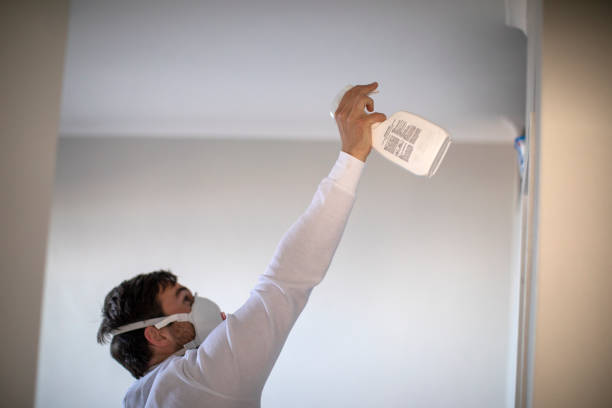 Home Mold Removal in Durand, WI
