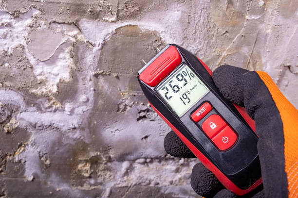 Best Mold Removal Company Near Me  in Durand, WI