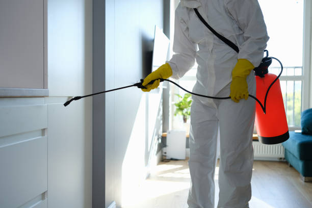 Best Local Mold Removal Service  in Durand, WI
