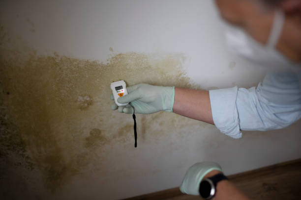 Water Damage Restoration in Durand, WI