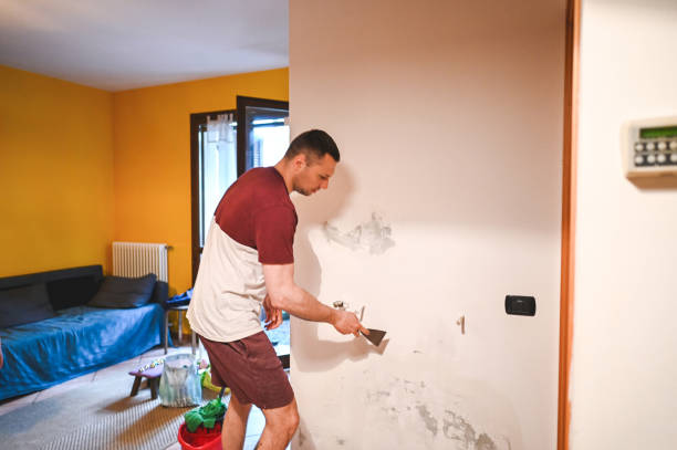 Best Certified Mold Removal  in Durand, WI