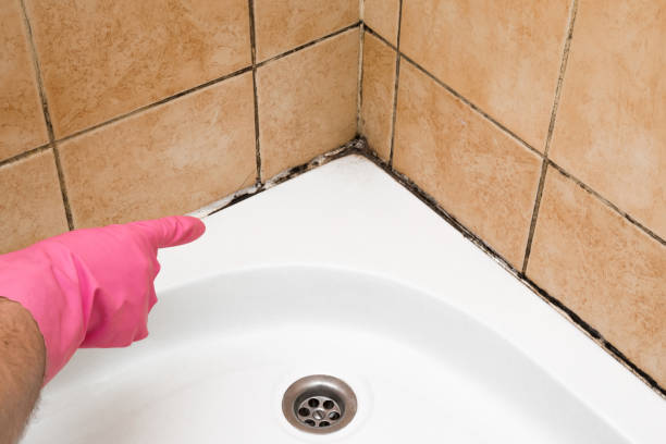 Best Mold Testing and Removal  in Durand, WI
